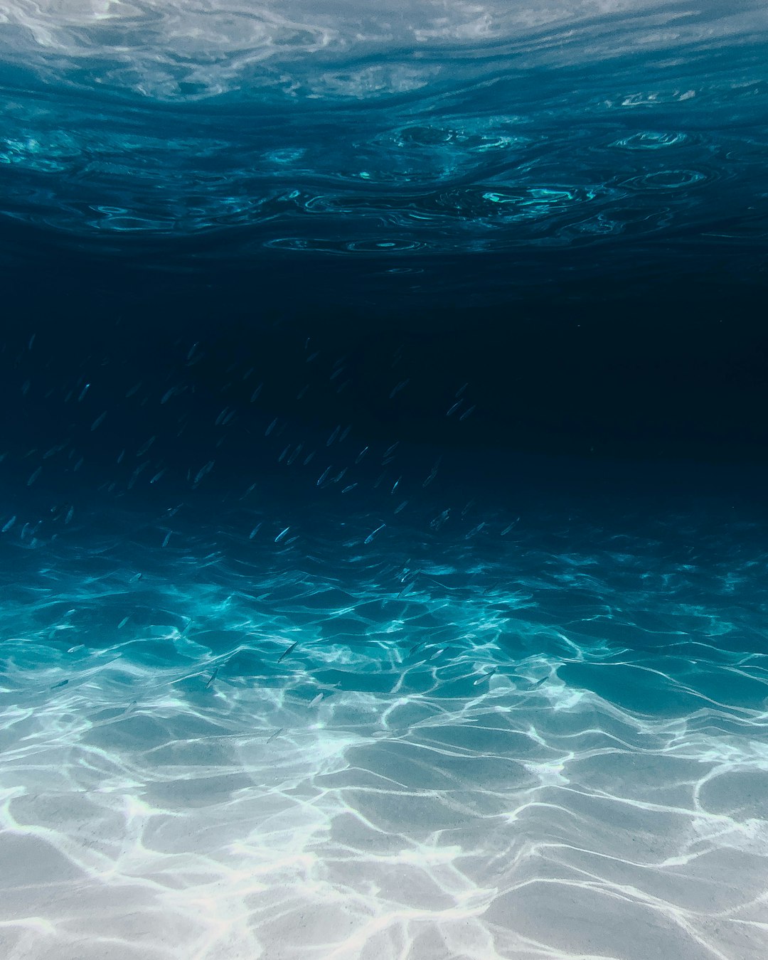 Background: Understanding Boating Accident Reporting by Boat Brands blue and clear body of water