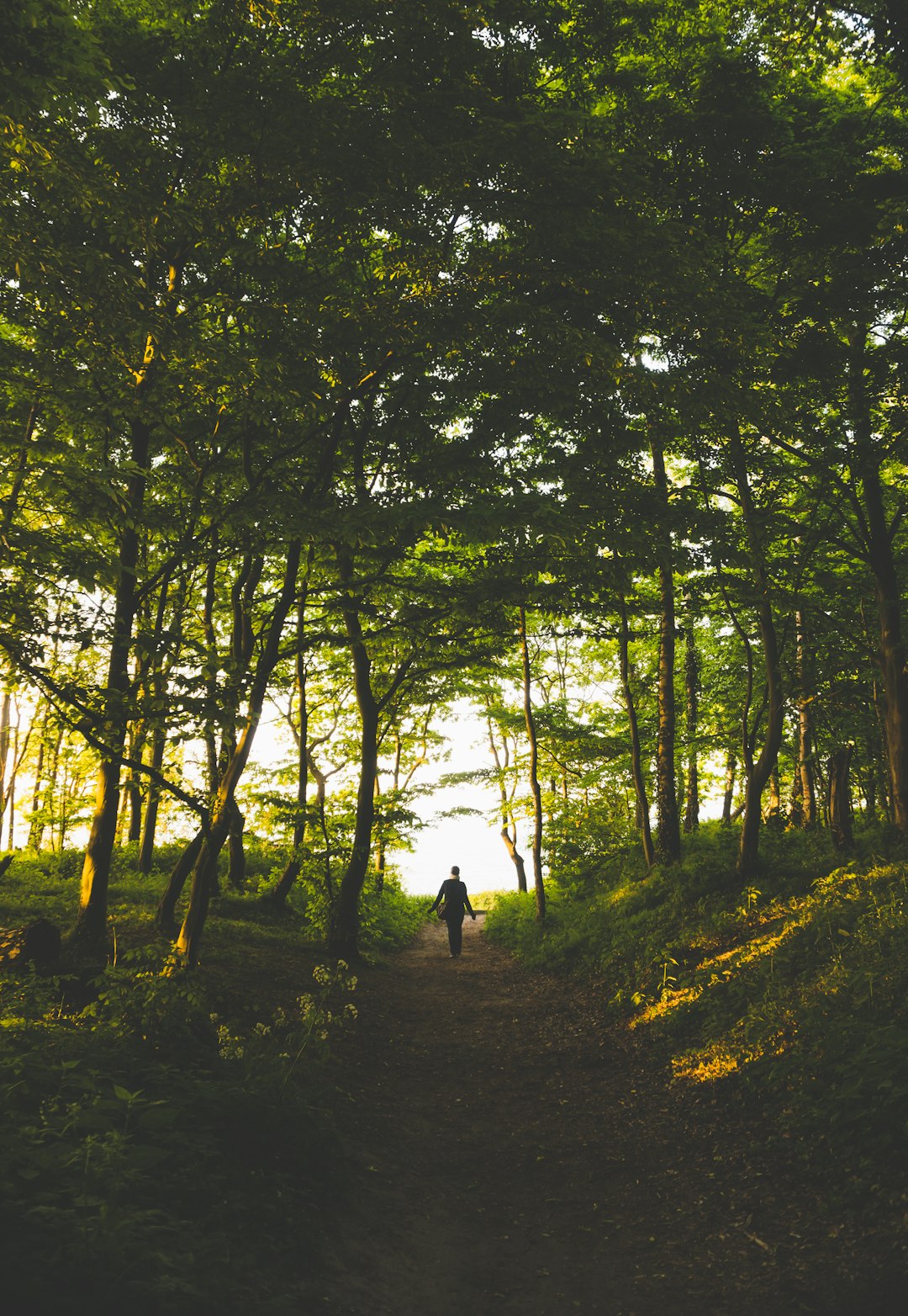 Person in the forest by Boat Brands person standing in woods
