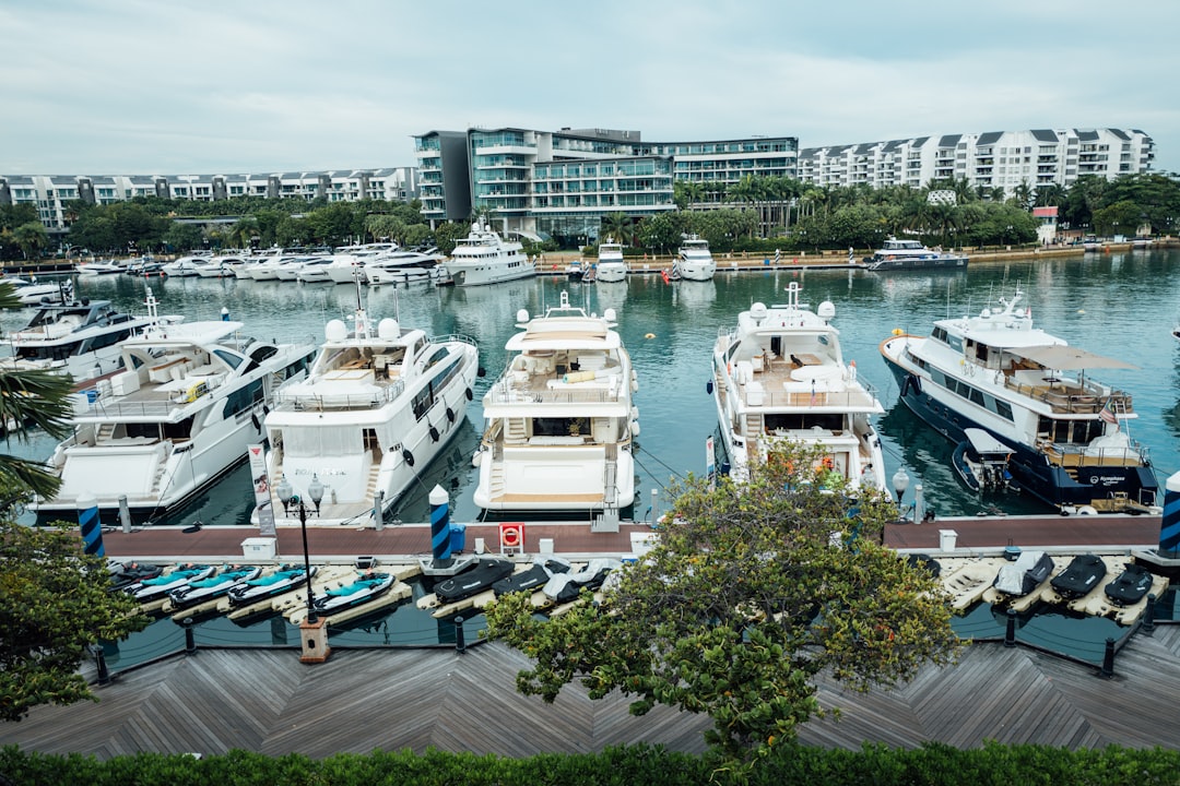 a group of boats in a harbor