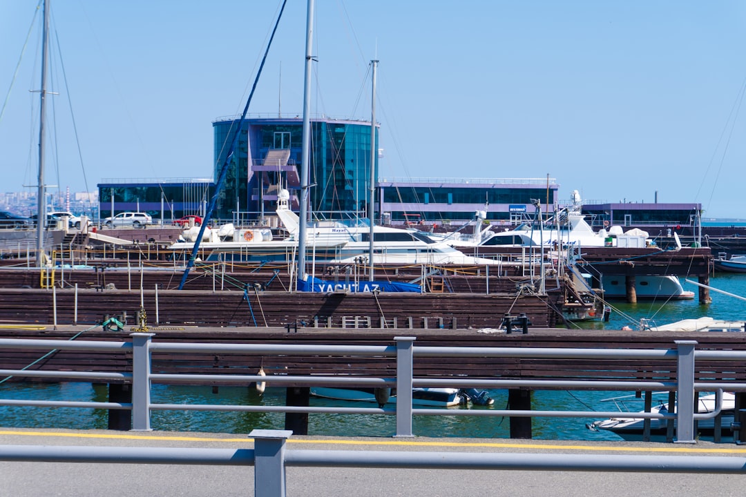 Boats are docked at a marina.
