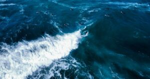 Featured image for Sustainable Marine Fuel Usage Statistics 10 Eye-Opening Facts for 2025